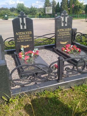 Ограда №44